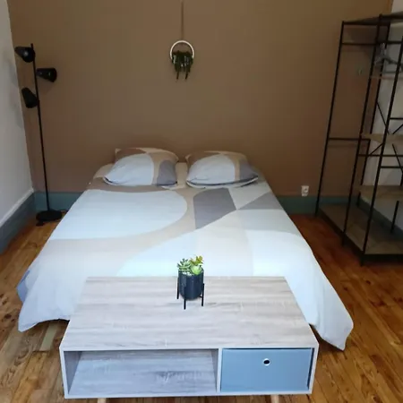 شقة La Terrasse Zen Dacher - Superbe 30 M2 Equipe Avec Terrasse Coeur Proche Gare Thermes Cures فيشي