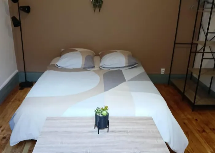 شقة La Terrasse Zen Dacher - Superbe 30 M2 Equipe Avec Terrasse Coeur Proche Gare Thermes Cures فيشي