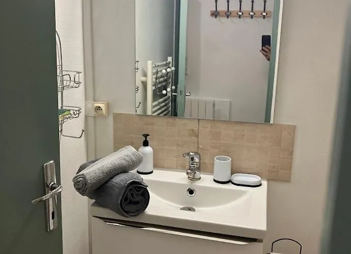 La Terrasse Zen Dacher - Superbe 30 M2 Equipe Avec Terrasse Coeur Proche Gare Thermes Cures * فيشي