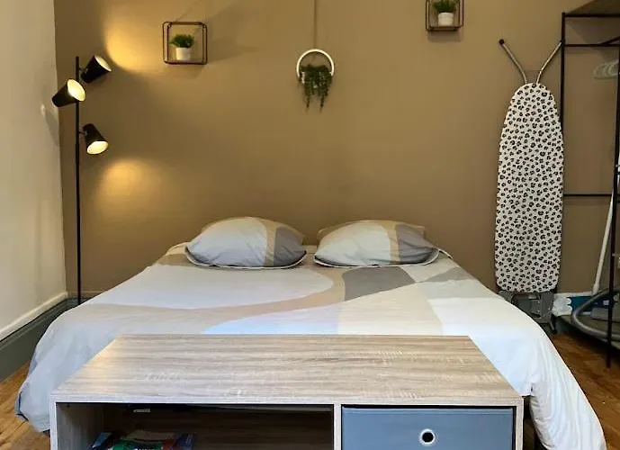 شقة La Terrasse Zen Dacher - Superbe 30 M2 Equipe Avec Terrasse Coeur Proche Gare Thermes Cures