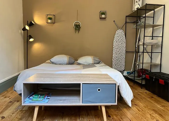 La Terrasse Zen Dacher - Superbe 30 M2 Equipe Avec Terrasse Coeur Proche Gare Thermes Cures شقة فيشي